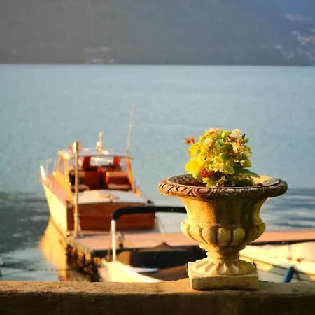 Ortensie & Oleandri Al - By Myhomeincomo * Argegno